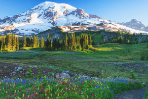 法兰克福之夜：德甲巨人能否迎来新生